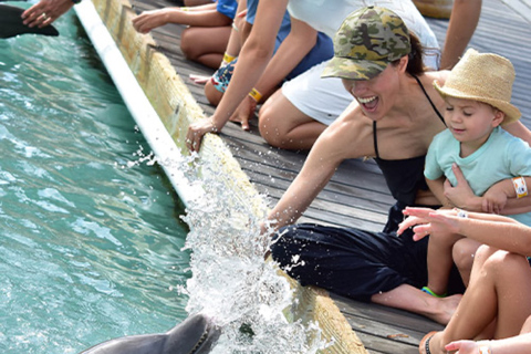 Florida Keys: Esperienza Dockside Dolphin