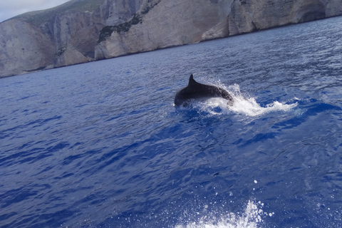 Zante : excursion d'une journée à la plage des naufrages, au belvédère et aux grottes bleues