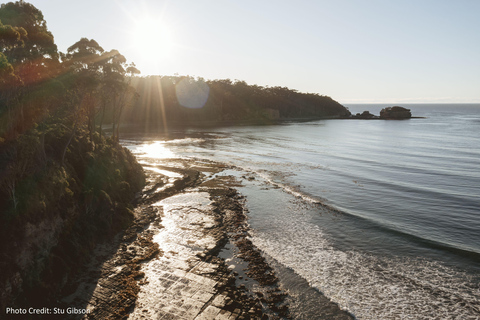 Port Arthur: Historic Site & Peninsula (8hr Private Tour)