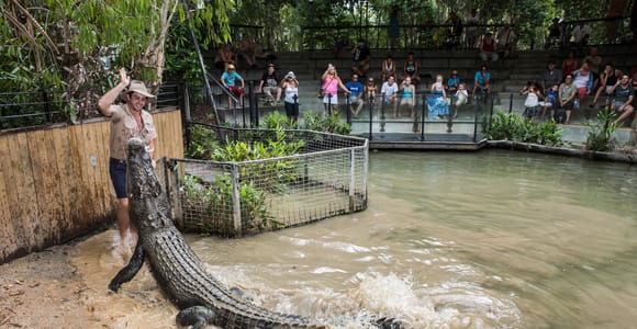 A large crocodile launching upright out of muddy water beside a keeper in a wide hat, spectators watching from tiered seating behind a fence