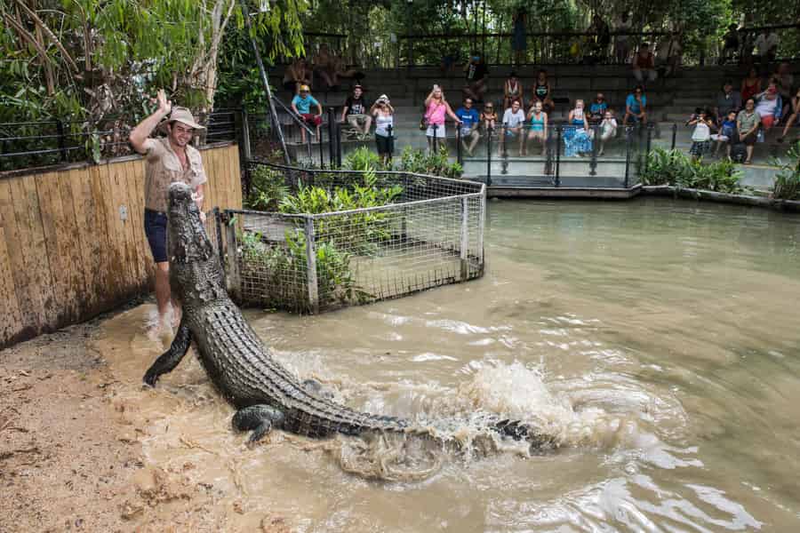 Cairns: Hartley's Crocodile Adventures Besuch mit Transfer. Foto: GetYourGuide Cairns: Hartley's Crocodile Adventures Besuch mit Transfer. Foto: GetYourGuide