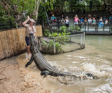 Cairns: Hartley's Crocodile Adventures Visit with Transfer