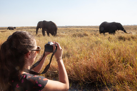 Excursión de un día a Chobe desde las cataratas Victoria