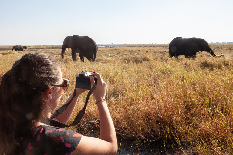 Chobe dagstur från Victoriafallen