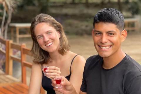 Flavors of Ica: Tradition and Modernity in a Guided Experience