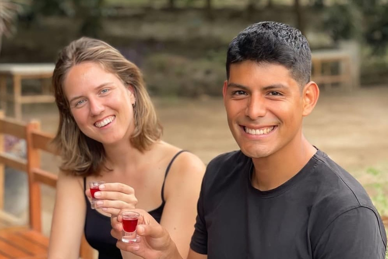 Flavors of Ica: Tradition and Modernity in a Guided Experience