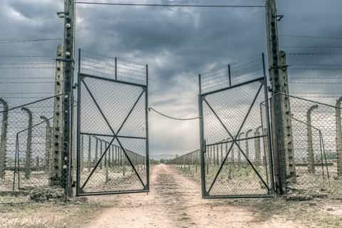 Z Warszawy: Kraków i Auschwitz-Birkenau całodniowa wycieczka pociągiem z odbiorem