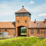 Z Warszawy: Kraków i Auschwitz-Birkenau całodniowa wycieczka pociągiem z odbiorem