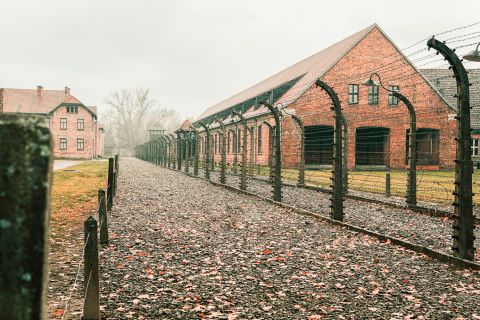 From Krakow: Auschwitz-Birkenau and Wieliczka Salt Mine Full-Day Trip