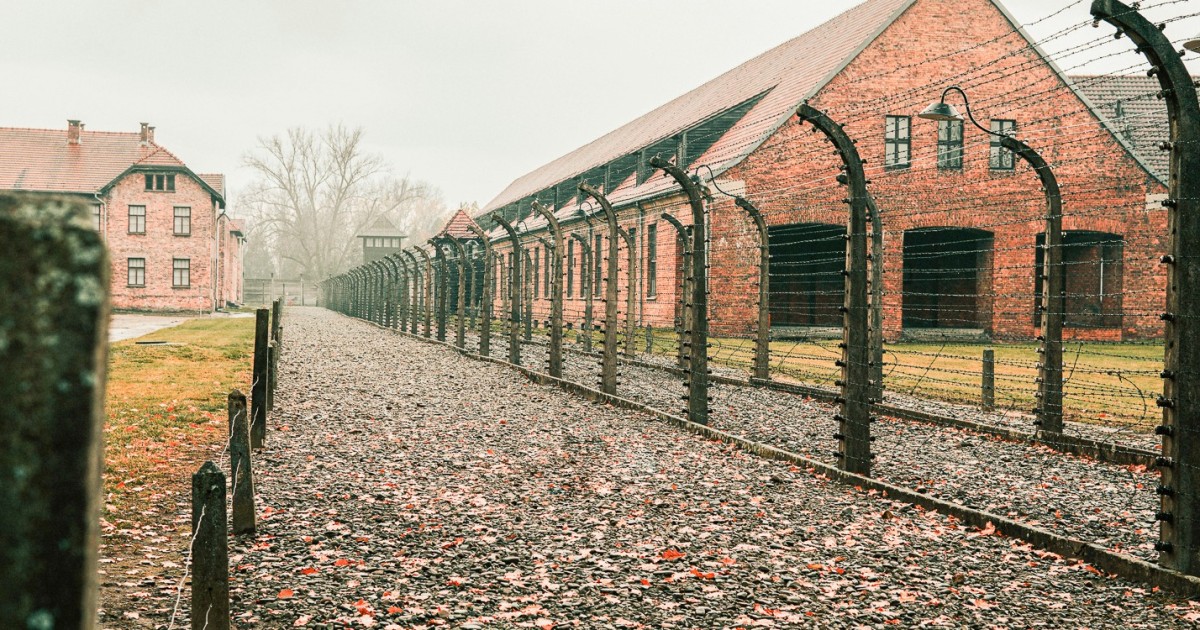 Z Krakowa całodniowa wycieczka do Auschwitz Birkenau i Kopalni Soli w Wieliczce GetYourGuide