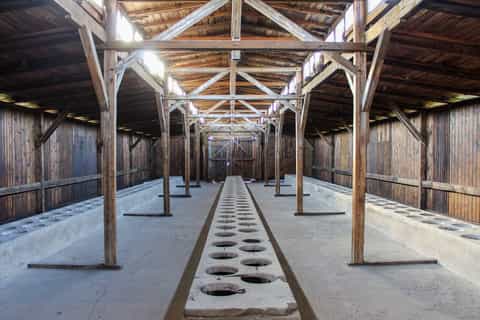 From Krakow: Auschwitz-Birkenau and Wieliczka Salt Mine Full-Day Trip with Private Pickup