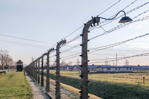 Da Cracovia: tour di 1 giorno ad Auschwitz-Birkenau