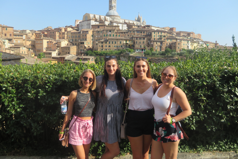 Desde Florencia: Siena, Cortona, Montepulciano y Val D'Orcia