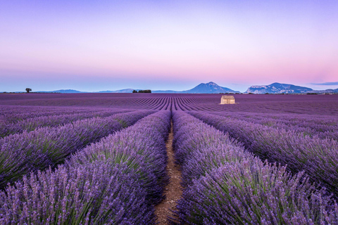 Alpi selvagge, Canyon del Verdon, villaggio di Moustiers, campi di lavanda