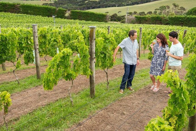 Paardrijden, wijnproeven &amp; kunstroute privétour