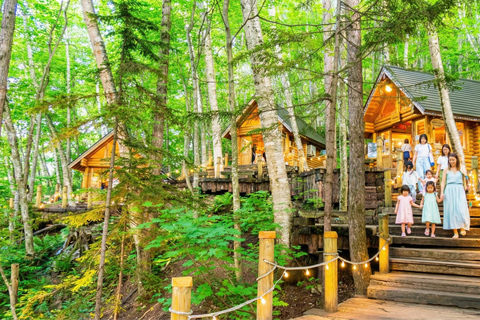 Hokkaido Asahiyama Zoo & Blue Pond Tour & Ningle Terrace 8:00 am meet at Odori Park subway station exit 31