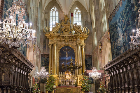 Cracovie : Visite guidée du château et de la cathédrale de WawelVisite guidée du château et de la cathédrale de Wawel