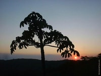 Sonnenuntergang+Nacht Walk Tour in Monteverde - Housity