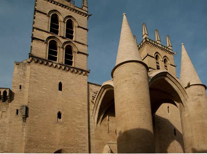 Montpellier - Visite à pied historique privée