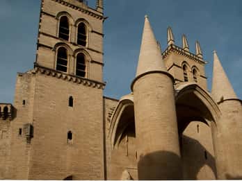 Montpellier - Visite à pied historique privée