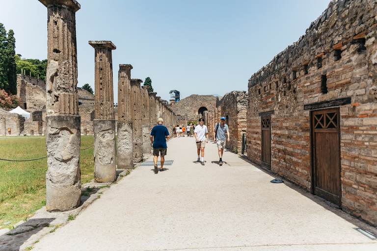 Z Rzymu: Pompeje, Wybrzeże Amalfi i Positano - jednodniowa wycieczkaWycieczka półprywatna z degustacją likieru limoncello