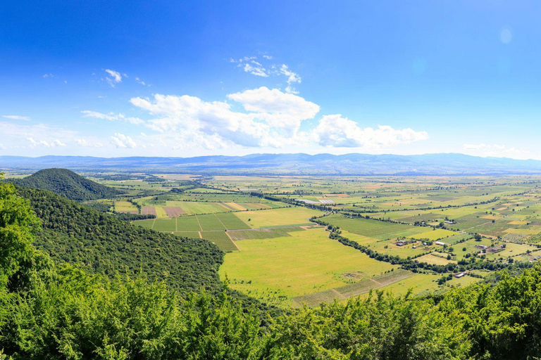 Tbilisi: Chronicle of Georgia, Bodbe & Sighnaghi Tour