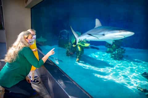 Aquarium of the Pacific: Skip-the-Ticket-Line Admission