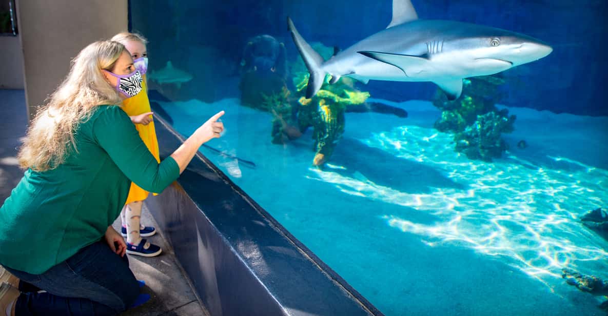 Los Angeles: Aquarium of the Pacific Skip-the-Line Tickets