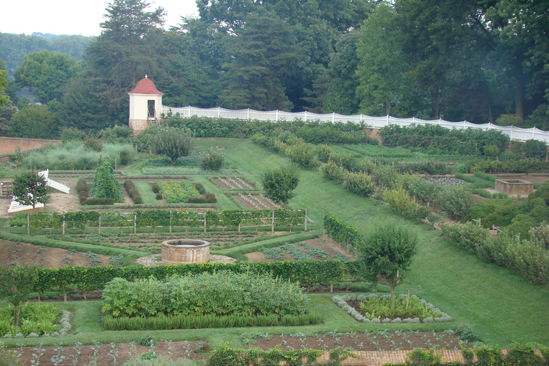 Mount Vernon: La tenuta di George Washington con audioguidaMount Vernon: Grounds Pass per la tenuta di George Washington