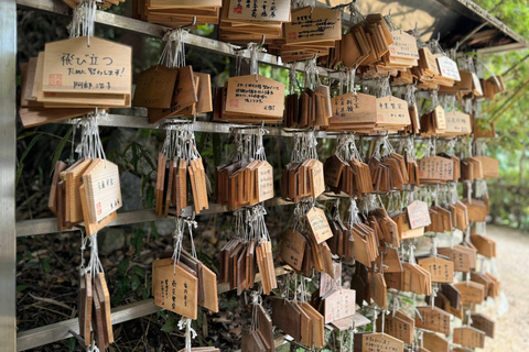 Nara: Coração espiritual e beleza paisagística da aldeia de Asuka