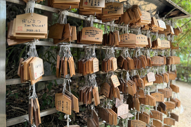 Nara: Spiritueel hart en landschappelijke schoonheid van Asuka Village