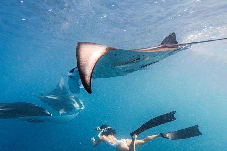 Nusa Penida : Private Day Tour & Snorkeling See Manta Rays Nusa Penida: Snorkeling Ticket with Shared Boat