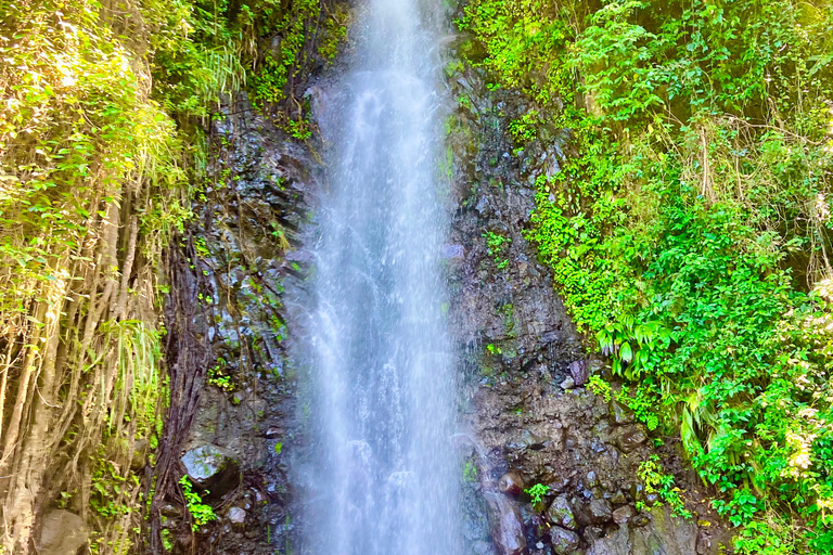 St. Vincent: Dark View Falls, Wallilabou & Fort Tour