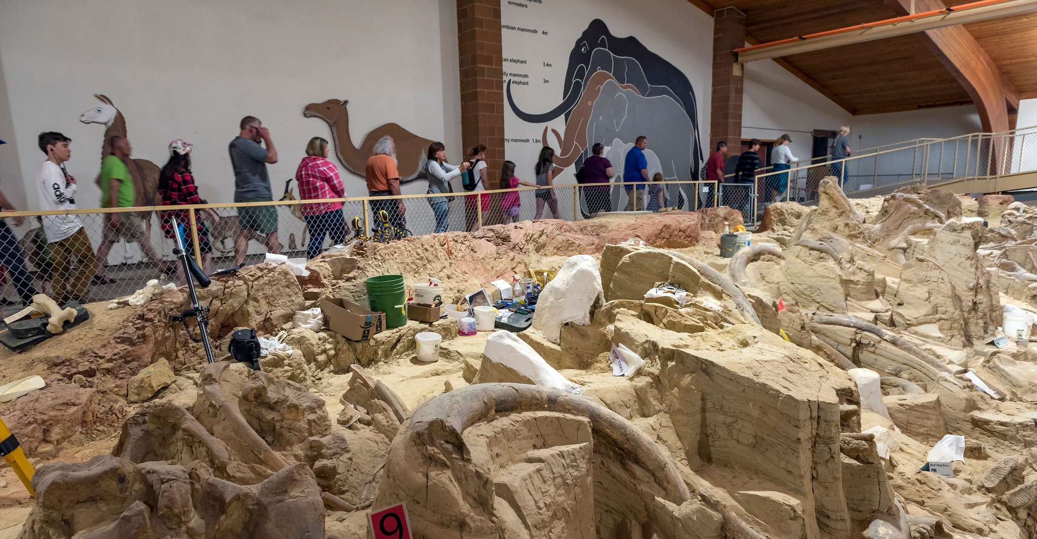 Buffalo Jeep Safari & Mammoth Site Tour - Housity