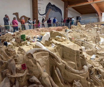 Buffalo Jeep Safari & Mammoth Site Tour