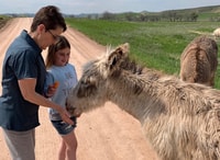 Buffalo Jeep Safari e Mammoth Site Tour - Housity