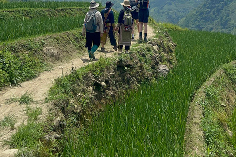 Randonnée dans le village de Red Dao et bain aux herbes