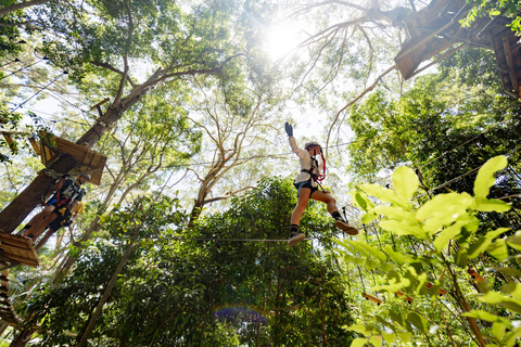 Experience Pass: Sky-High Thrills & Wildlife Wonders