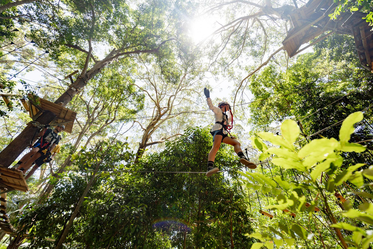 Experience Pass: Sky-High Thrills & Wildlife Wonders
