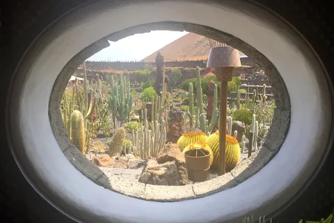 Teguise Vip Tour Minibus: Flea market, LagOmar, Cactus garden, Foundation