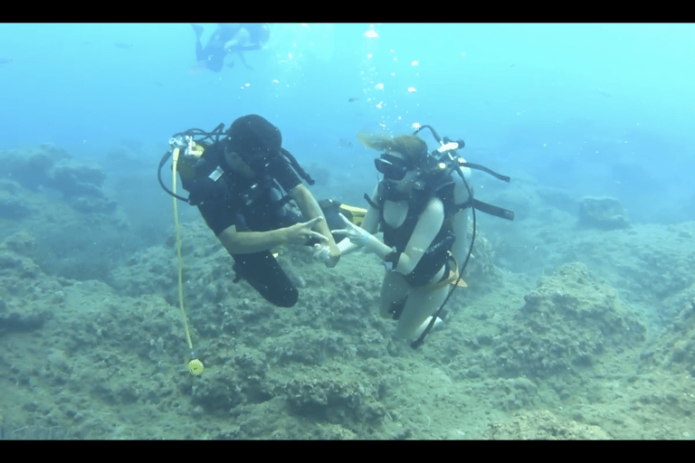 Lateral: Tour de mergulho no Museu SubmarinoAtração: Tour de mergulho no Museu Subaquático