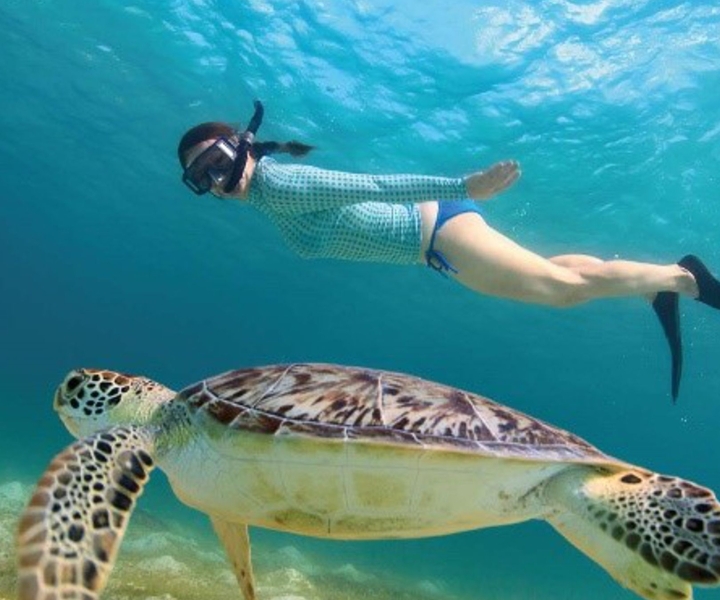 Z Riwiery: Tulum i Akumal pływają z Turtles Express