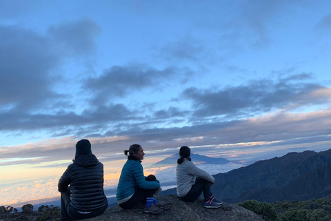 6 dias de escalada do Kilimanjaro Rota Machame