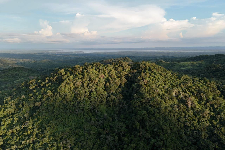 Villanueva: Fundación Loros Sunset Tour with Winetasting
