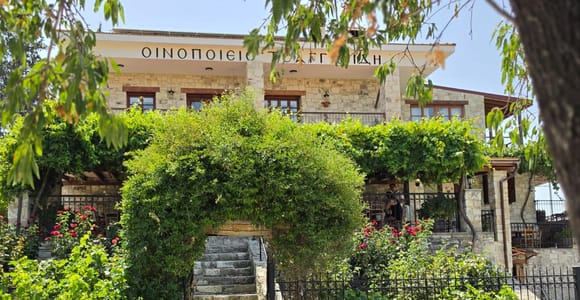 Paphos: 3 Wineries, Wine Tasting & Scenic Mountain Tour
