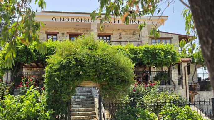 Colinas de Pafos: tour de vinos boutique y escapada panorámica - 4+ personas