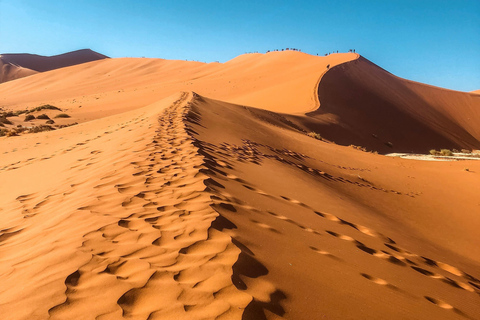 04 Days Swakopmund and Sossusvlei Guided Tour