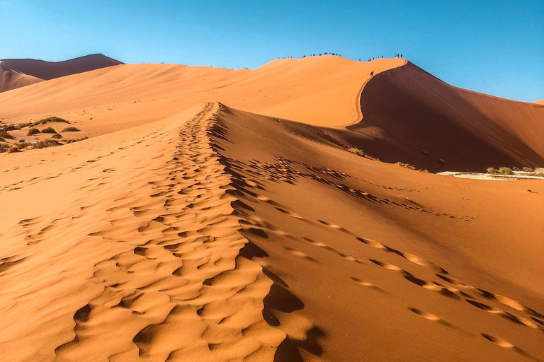04 Days Swakopmund and Sossusvlei Guided Tour