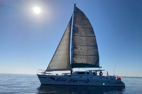 Walvis Bay: luxe catamarantour naar Big 5 van de Zee