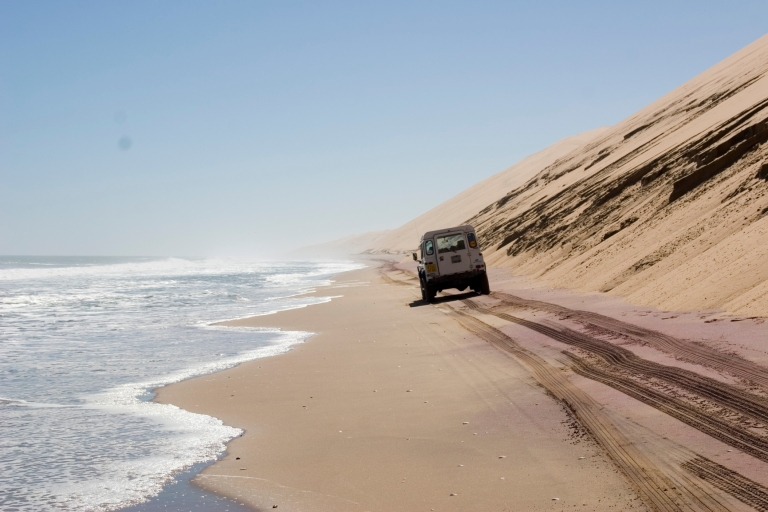 Walvis Bay: 4x4 Desert Excursion to Sandwich Harbour Bay Tour with Walvis Bay Meeting Point